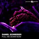 cover: Daniel Schneider - Pull Me Down Now