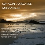 cover: Shaun Ansari - Miracle