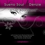 cover: Denzie|Sueno Soul - What You Want