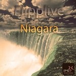 cover: Flipplive - Niagara