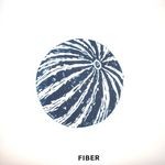 cover: Fiber - Fiber