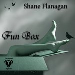 cover: Shane Flanagan - Fun Box