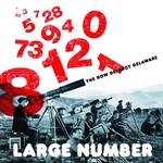 cover: Large Number - The Now Defunct Delaware