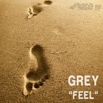 cover: Grey - Feel