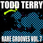 cover: Terry, Todd|Gypsymen - Todd Terry's Rare Grooves Vol 7