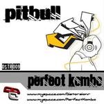 cover: Perfect Kombo - Pitbull