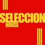 cover: Various - Seleccion House