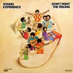 cover: Sound Experience - Don't Fight The Feeling