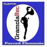 cover: Dr Needles - Forced Elements