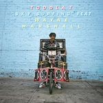 cover: Toddla T|Wayne Marshall - "Sky Surfing"