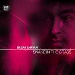 cover: Babak Shayan - Snake In The Grass