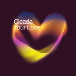 cover: Cicada - Your Love