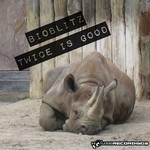 cover: Bioblitz - Twice Is Good