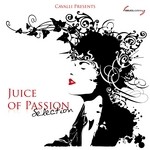 cover: Various|Cavalli - Juice Of Passion Selection (unmixed tracks)