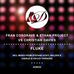 cover: Christian Davies|Ethan Project|Fran Cosgrave - Fluke