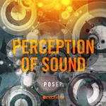 cover: Perception Of Sound - POS EP