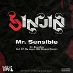 cover: Sinjin - Mr Sensible