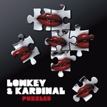 cover: Kardinal|Lowkey - Puzzled