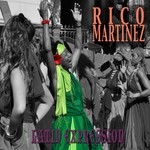 cover: Rico Martinez - Latin Expression