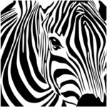 cover: Freq Mc - Zebra