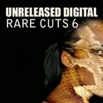 cover: Various - Rare Cuts Vol 6