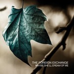 cover: The Foreign Exchange - Maybe She'll Dream Of Me