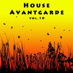 cover: Various - House Avantgarde Vol 10