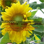 cover: Ngc 5128 - Sunflower Worship EP