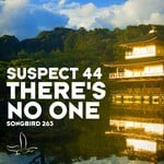 cover: Suspect 44 - There's No One