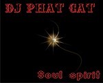 cover: Dj Phat Cat - Soul Spirit