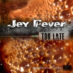 cover: Jey Fever - Too Late