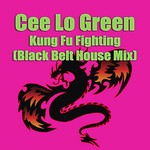 cover: Cee Lo Green - Kung Fu Fighting