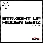 cover: Various - Straight Up Hidden Gemz! Vol 2