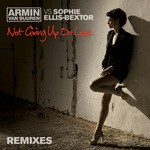 cover: Sophie Ellis Bextor|Van Buuren, Armin - Not Giving Up On Love (remixes)