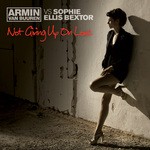 cover: Sophie Ellis Bextor|Van Buuren, Armin - Not Giving Up On Love