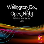 cover: Wellington Boy - Open Night