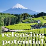 cover: Visualize - Releasing Potential