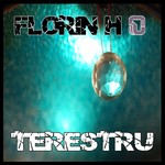 cover: Florin H - Terestru