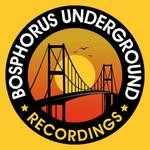 cover: Various - Bosphorus Underground Techno Boys