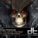 cover: Sergio Maldonado - In This Life Or The Next