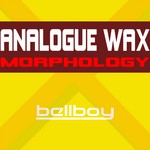 cover: Analogue Wax - Morphology