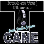 cover: T Cane - Crush On You