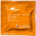 cover: Ako & Peat Noise - Summer Trip