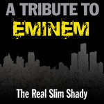 cover: Deja Vu - Tribute to Eminem: The Real Slim Shady (Explicit)