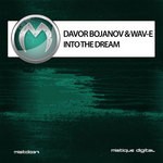 cover: Davor Bojanov & Wav E - Into The Dream