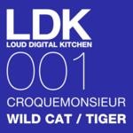 cover: Croquemonsieur - Wild Cat