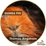 cover: Thomas Angstrom - Guinea Pig