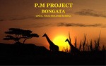 cover: Pm Project - Bongata