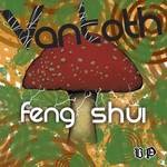 cover: Van Toth - Feng Shui