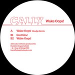 cover: Cally - Wake Oops!